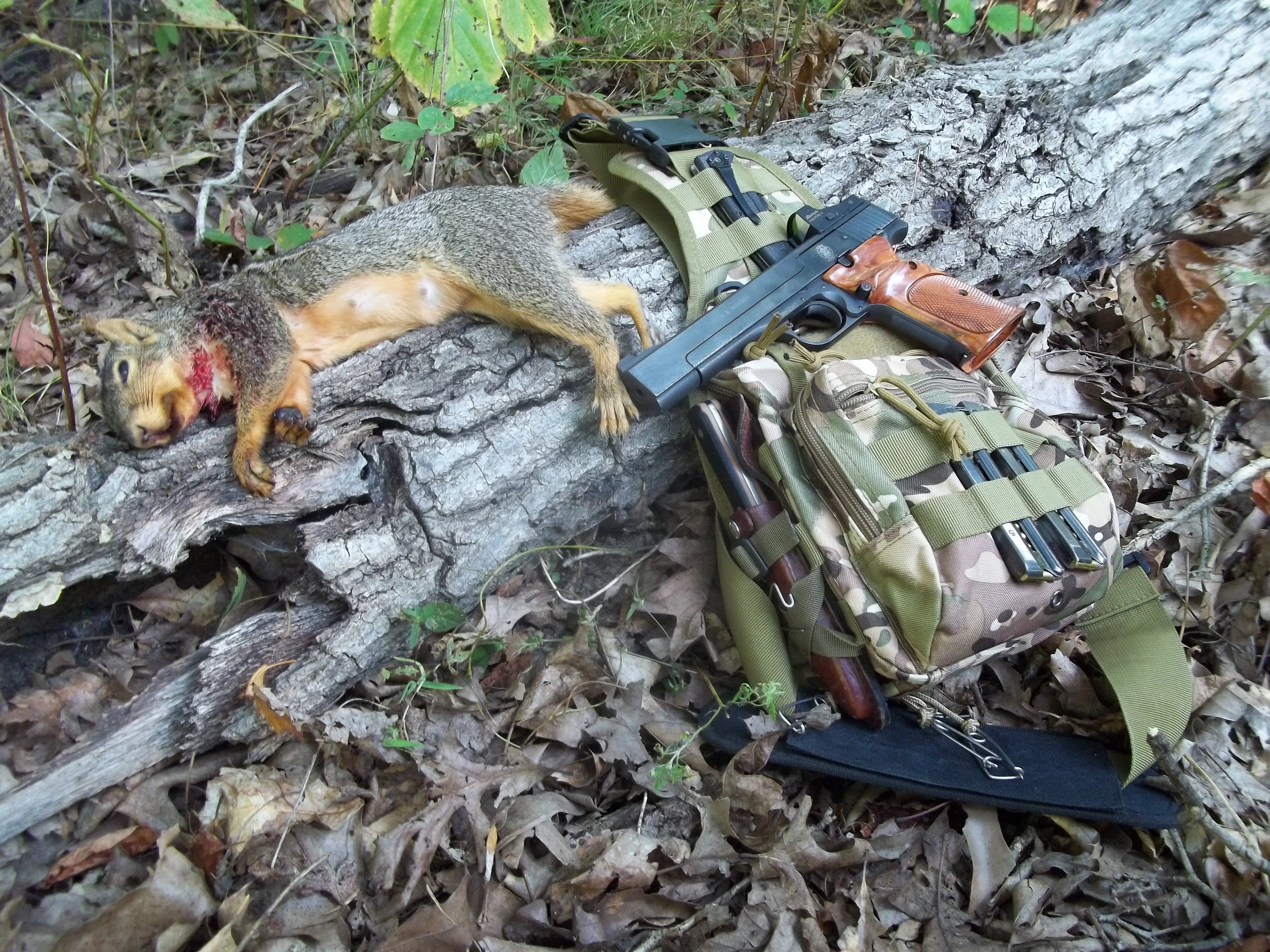 100_9124.webp 100_9124.webp