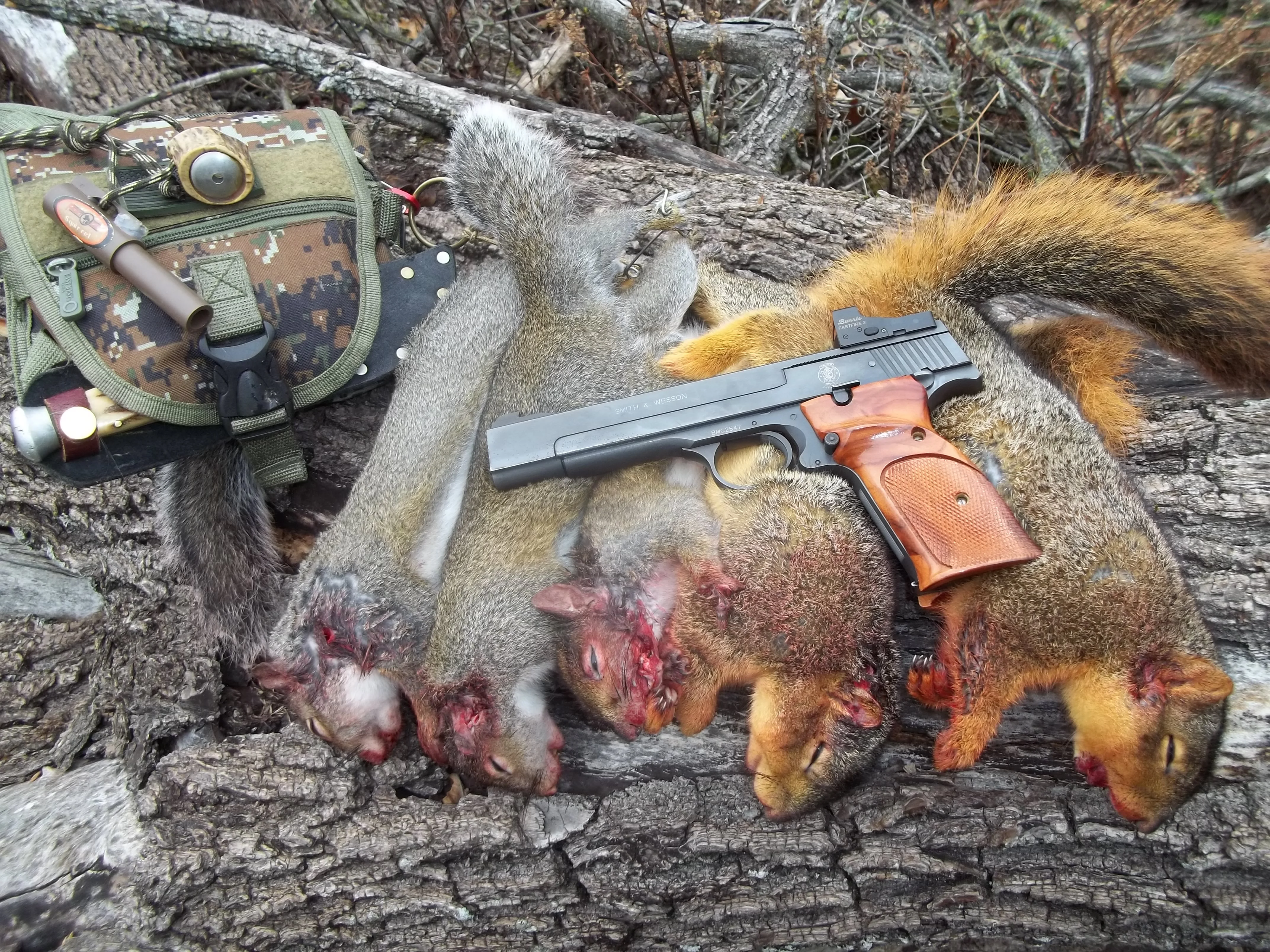 100_8824.webp 100_8824.webp