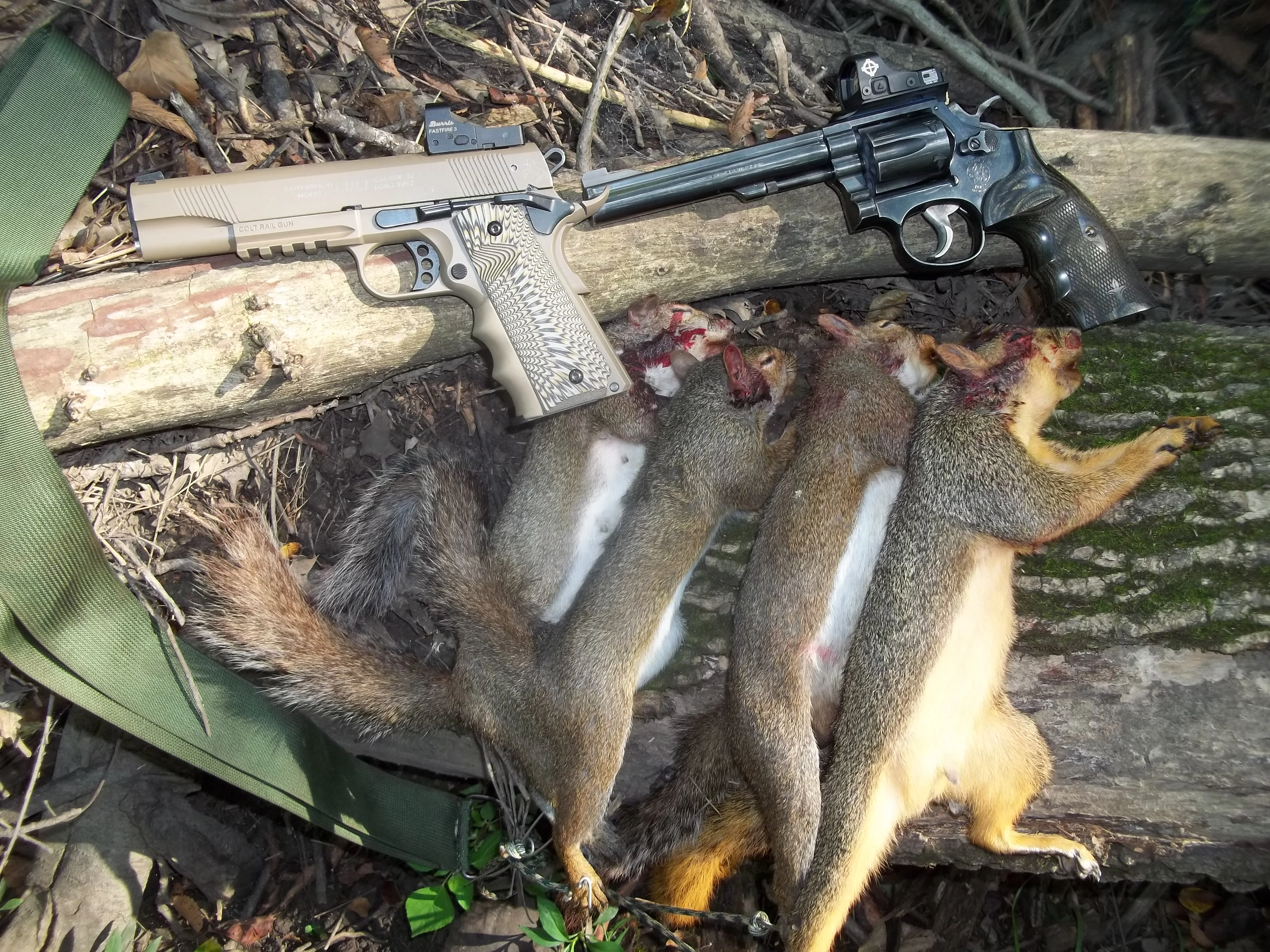 100_8257.webp 100_8257.webp