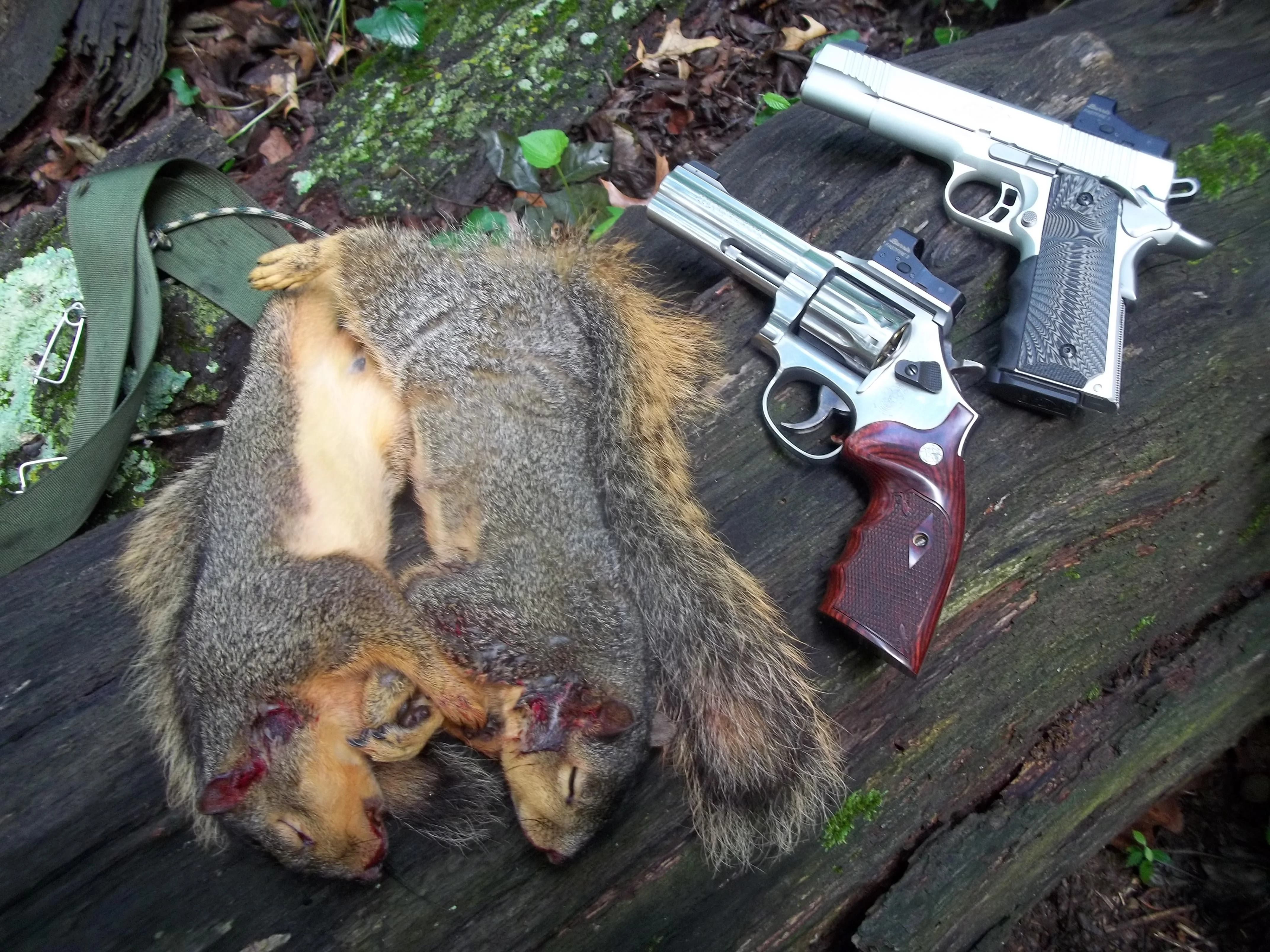 100_8165.webp 100_8165.webp