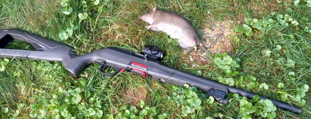 2025_rat_patrol.webp 2025_rat_patrol.webp